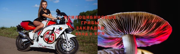 марихуана Горнозаводск