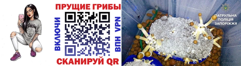 Галлюциногенные грибы MAGIC MUSHROOMS  Мурманск 